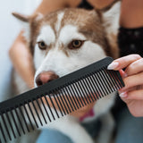 Chicago Comb - The Pet Comb - Carbon Fiber - Large